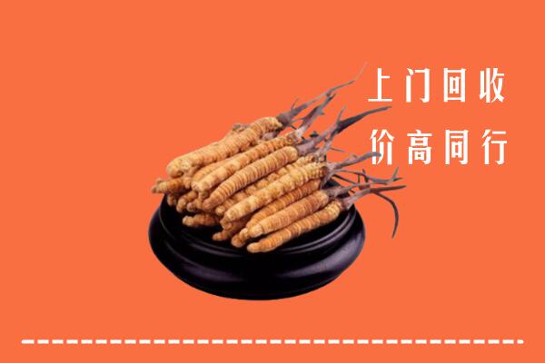 高价求购：伊春回收散虫草