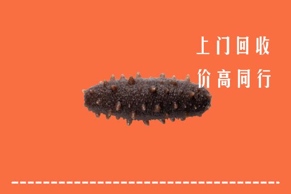 伊春回收海参