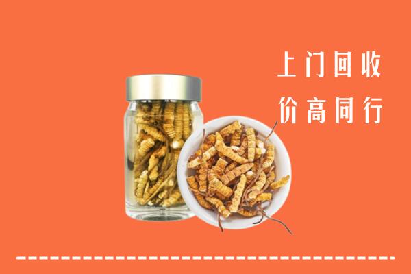 伊春回收冬虫夏草