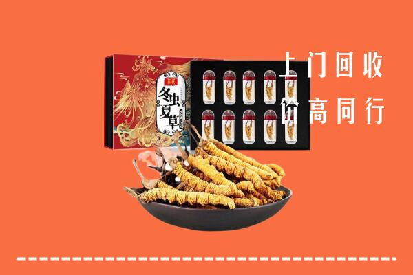 伊春回收虫草